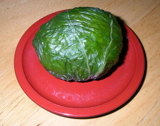 Mehari-zushi regional guide to Mie leaf-wrapped rice tradition