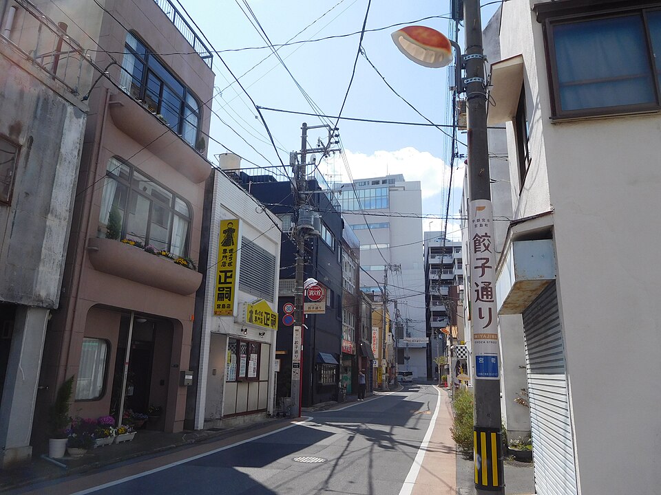 Gyoza Street Utsunomiya guide — shops, seasons, where to eat