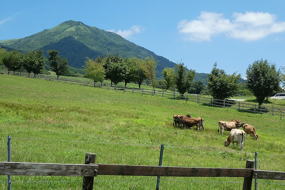 Hiruzen Jersey Land dairy farm and Jersey-milk experiences