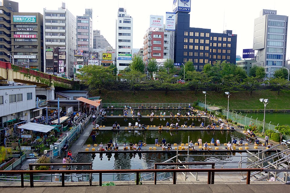 Ichigaya Fish Center Tokyo urban fish shop and visit guide