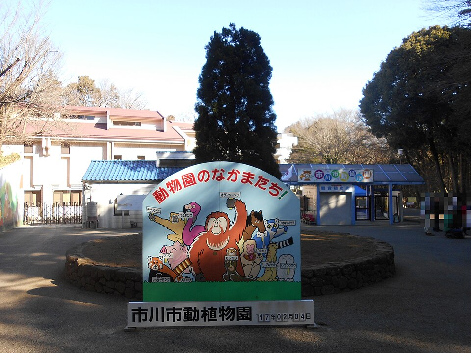 Ichikawa Zoological & Botanical Garden — otters, pandas and plants