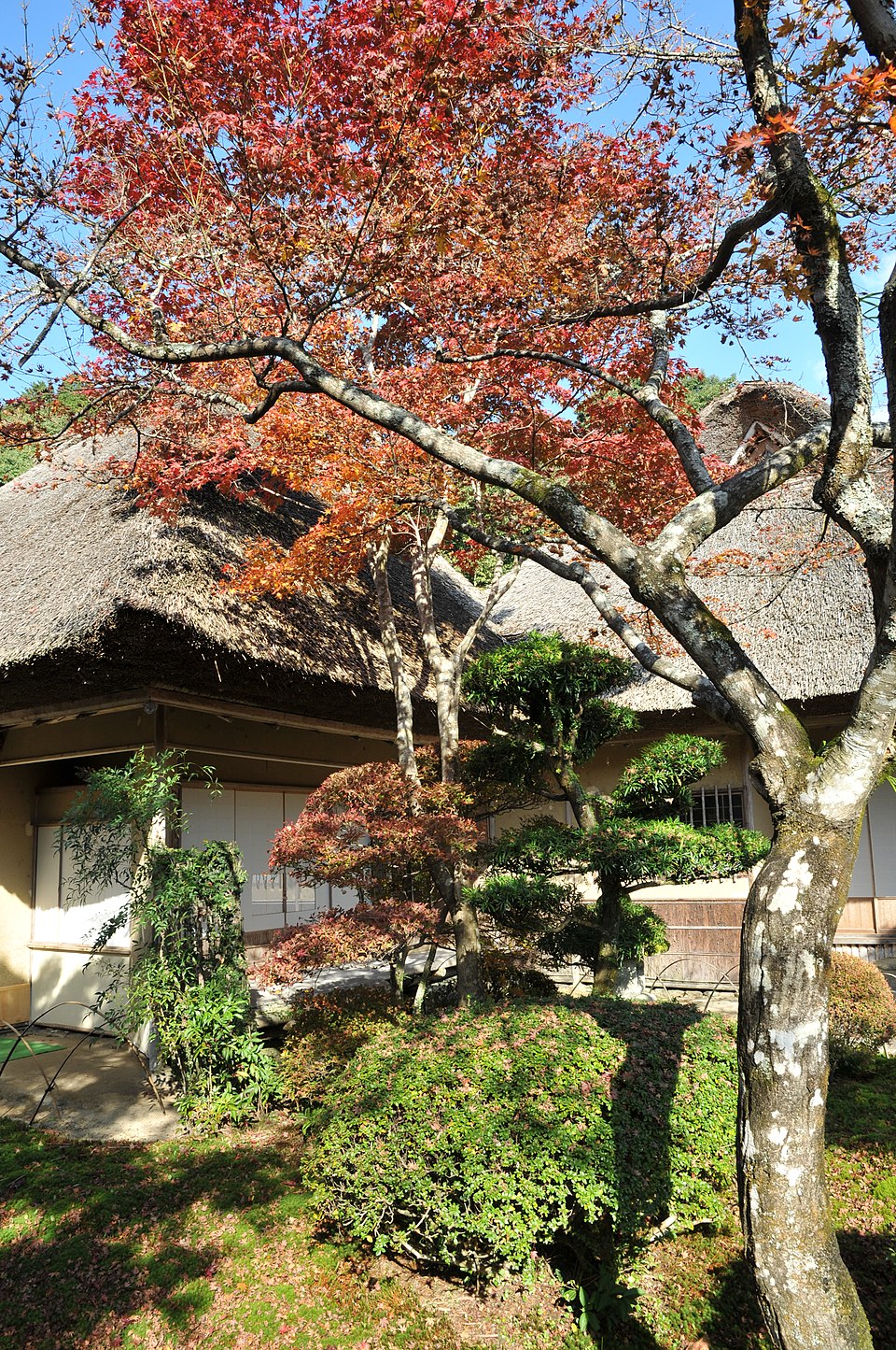 Kyuunen-an Garden Takeo Saga Visiting and Seasonal Guide