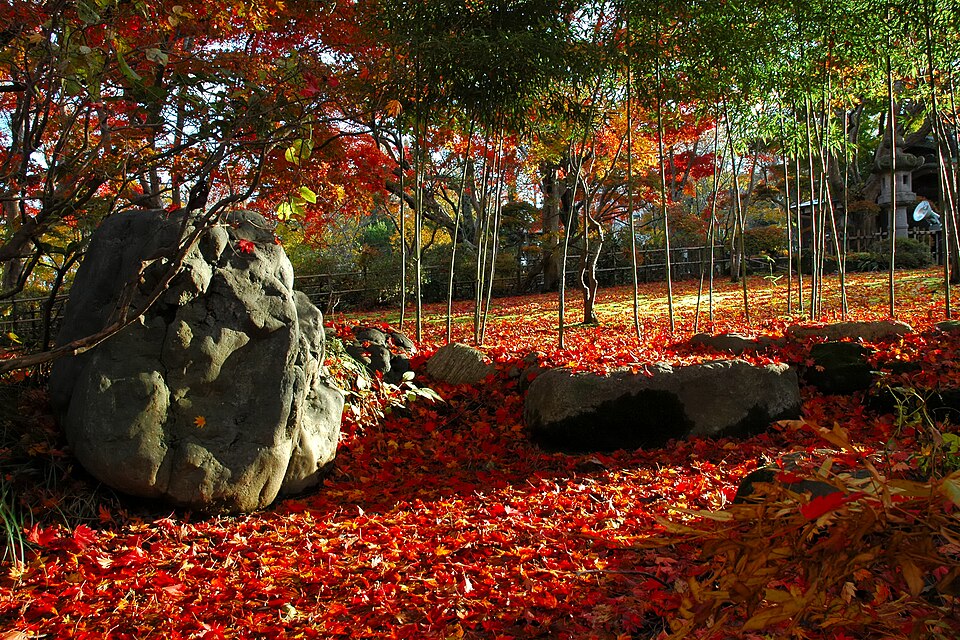Momiji-en Niigata Maple Garden Guide for Visitors