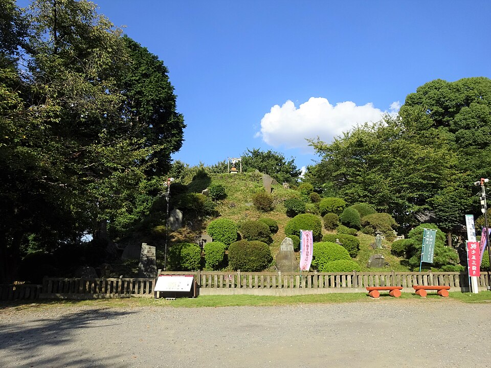 Tagoyama Fujizuka Saitama seasonal access and practical tips