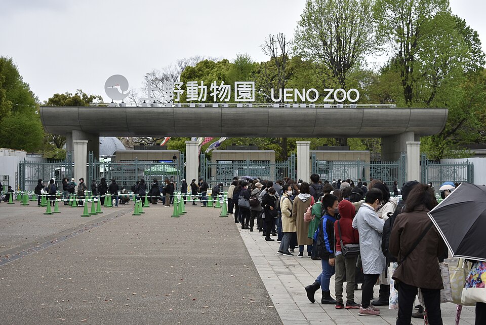 Ueno Zoo — Tokyo's Oldest Metropolitan Zoo in Ueno Park